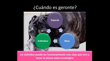 Anestesia en el paciente geronte sección 1