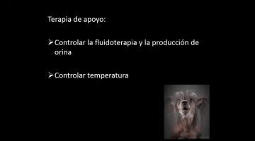 Anestesia en el paciente geronte parte 2