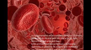 Anestesia en el paciente pediátrico 1