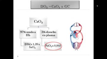 Anestesia en el paciente cardiópata sección 1