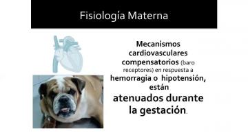 Anestesia en Cesaria 1