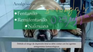 Anestesia en Cesaria 2