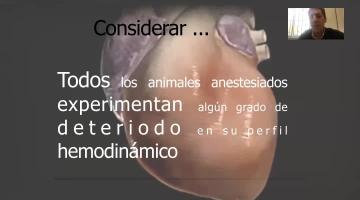 Generalidades