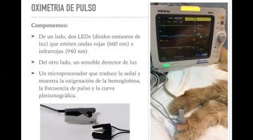 Monitoreo : Oximetria de Pulso