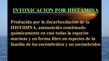 ETA Icticas (3° Parte)