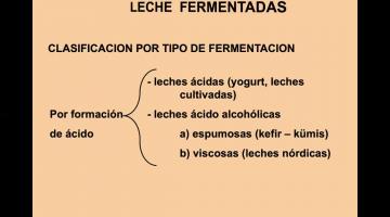 Leches fermentadas (1º Parte)
