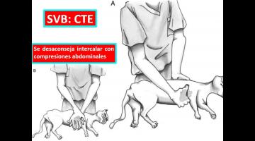 Seminario RCCP
