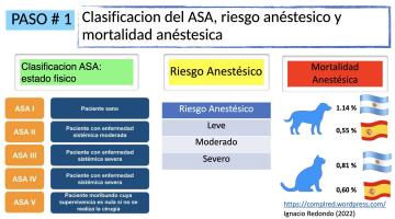 Anestesia en Pequeños Animales